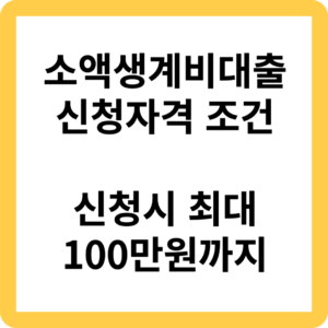 소액생계비대출